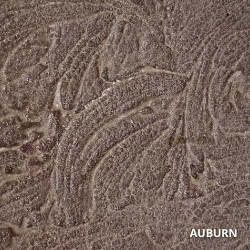 Auburn Antiquing Exterior Concrete Stain Color